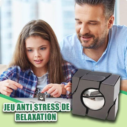 Fidget Toy | Casse Tete SilverCube™ - Jouets Chouchous