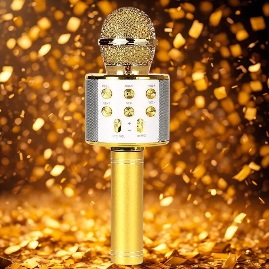 Micro karaoke | VocaFun™ - Jouets Chouchous